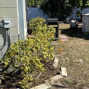 Bush Trimming by GetItDone Quality reviewed on January 1, 2026