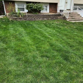 yard care by Fraire landscaping reviewed on August 19, 2025