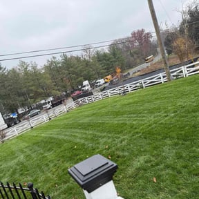 Leaf Removal by Carpenter And Son's Lawn Service reviewed on November 19, 2025