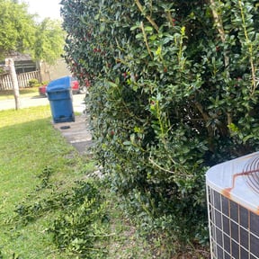 Bush Trimming by M&M lawn care reviewed on August 19, 2025