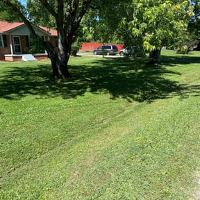 yard service by Coqui Lawn Care Services reviewed on August 13, 2025