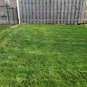 yard maintenance by Carrate Landscaping LLC reviewed on August 21, 2025