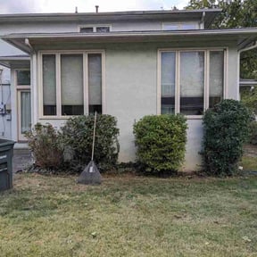 Bush Trimming by Bennett Lawn Care reviewed on November 18, 2025