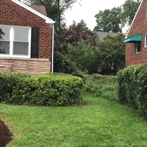 Bush Trimming by Cortez Landscaping reviewed on August 15, 2025
