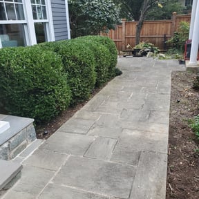 Bush Trimming by A & B Premier Lawncare reviewed on August 19, 2025