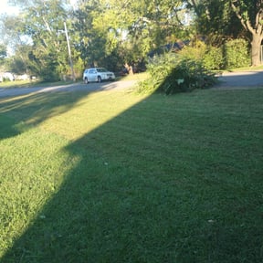 Bush Trimming by Crystal Hathaway reviewed on November 22, 2024