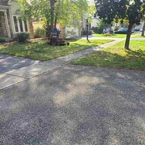 Bush Trimming by Justin Myers  reviewed on October 19, 2025