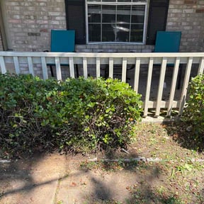 Bush Trimming by Chloe's Lawn Care reviewed on June 4, 2026