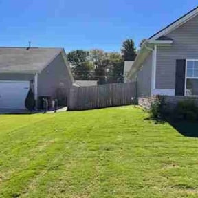 grass maintenance by Millionaire Lawn Care reviewed on June 29, 2025