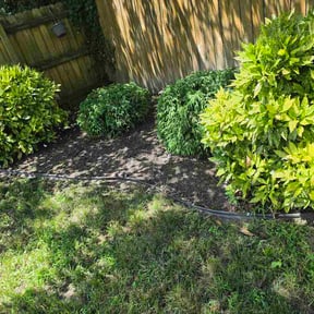 Flower Bed Weeding by EMP  groundskeeping LLC reviewed on June 25, 2026