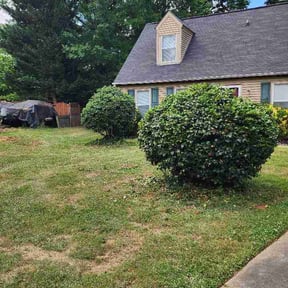 Bush Trimming by curb appeal lawn services reviewed on May 3, 2026