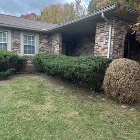 Bush Trimming by Legacy landscaping llc reviewed on October 20, 2025