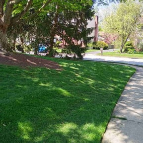 lawn care by Fredrick Miller reviewed on March 7, 2024