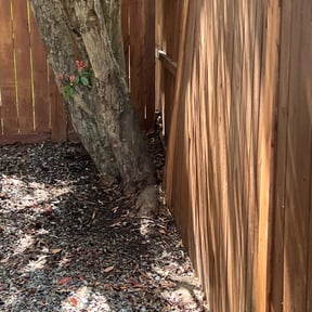 Leaf Removal by Scube and Sons reviewed on September 25, 2025