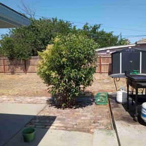 Bush Trimming by ZKZ Landscape &amp; Design reviewed on November 12, 2024