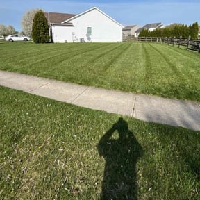landscape maintenance by Rouse Curb Appeal reviewed on August 16, 2025