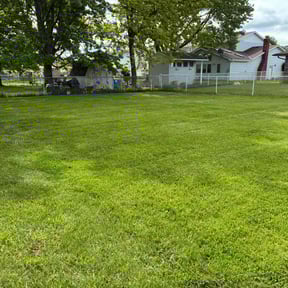 turf maintenance by T&amp;M Lawn Services reviewed on August 16, 2025