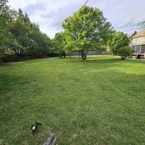 landscaping services by EC Lawn Service reviewed on August 15, 2025