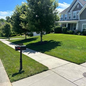 turf maintenance by Austin Yard Service (Duplicate) reviewed on November 9, 2017