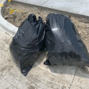 Bush Trimming by Red Maple Lawn Care reviewed on August 19, 2025