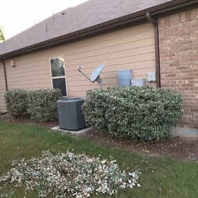 Bush Trimming by E-MACULATE LAWN  CARE LLC reviewed on August 16, 2025