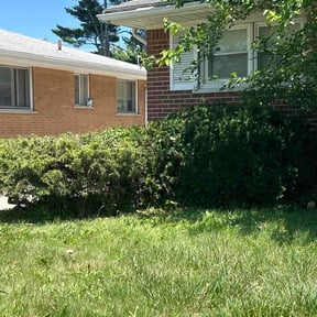 Bush Trimming by Proper Lawn Service reviewed on July 1, 2026