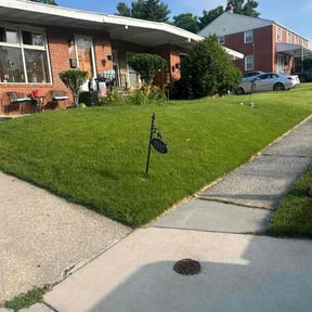 grass cutting by Perspective Solutions LLC reviewed on August 21, 2025