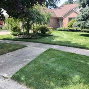 residential landscaping by vets lawn care reviewed on November 25, 2025