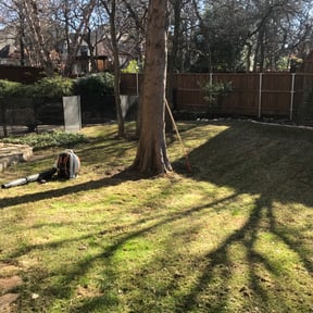 Leaf Removal by Hugo Lopez Landscaping reviewed on August 15, 2025