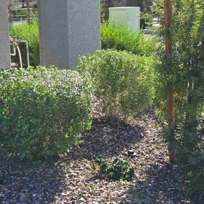 Bush Trimming by 20-20 Lawn Care reviewed on October 21, 2025