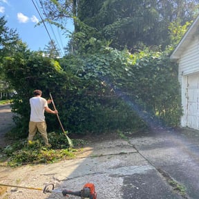 Bush Trimming by MT Lawn Care reviewed on August 17, 2025