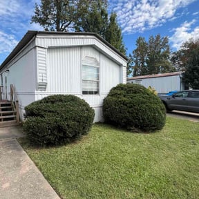 Bush Trimming by Performance Services. reviewed on November 20, 2025