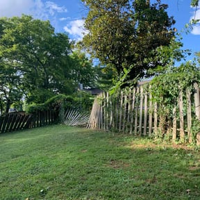 Bush Trimming by Dotson Expedited Services reviewed on June 27, 2023