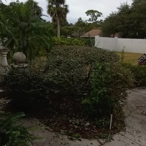 Bush Trimming by 216BeamKing reviewed on August 16, 2025
