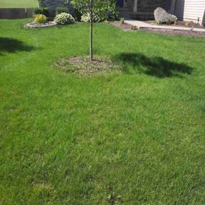 landscaping by Jason Fetters reviewed on December 13, 2025