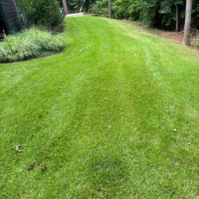 gardening service by The Green Earth Lawn Care reviewed on August 13, 2025