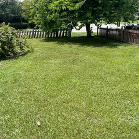 turf maintenance by Platinum Landscape reviewed on March 21, 2024