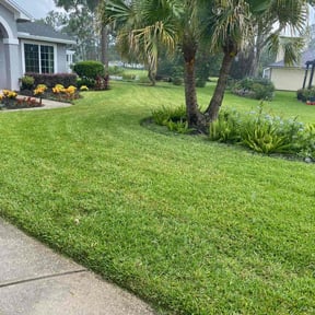 residential landscaping by Easy Clippings reviewed on August 20, 2025