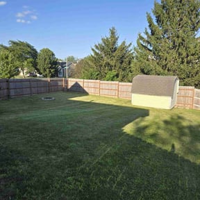 yard service by B.mendoza lanscaping reviewed on August 15, 2025