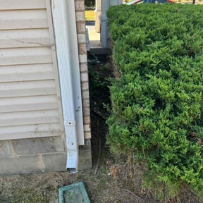 Bush Trimming by J & T Services reviewed on August 18, 2025
