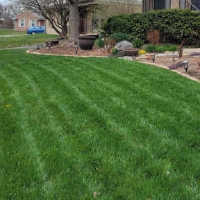 grass cutting by Lawntastic Home Service reviewed on September 23, 2023