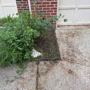 turf maintenance by Homingbird Lawn Service LLC reviewed on January 11, 2024