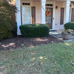 Bush Trimming by Buddy&#039;s Mow Blow &amp; Go Lawncare reviewed on November 8, 2025