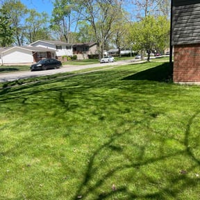 yard work by Mark Cowper Lawn and Landscape Maintenance reviewed on May 10, 2023