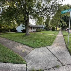 yard care by CHATMOP reviewed on May 9, 2024