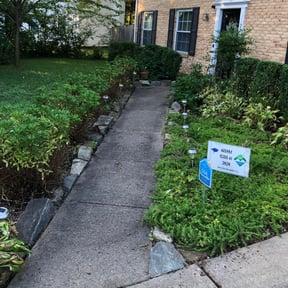 Flower Bed Weeding by Little Helper Lawn Care reviewed on August 14, 2025