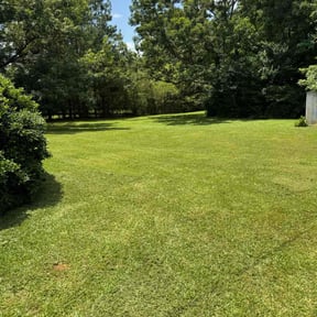 yard maintenance by Curry's mowing reviewed on August 19, 2025