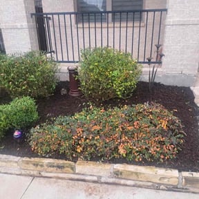 Mulching by Father Daughter and Sons Lawn Care reviewed on September 14, 2021