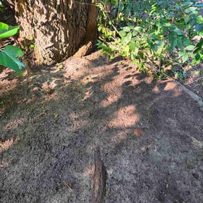 Flower Bed Weeding by Meloscapes Mgmt LLC reviewed on July 17, 2026