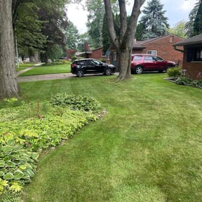 gardening service by Stephen Reynolds reviewed on November 15, 2023